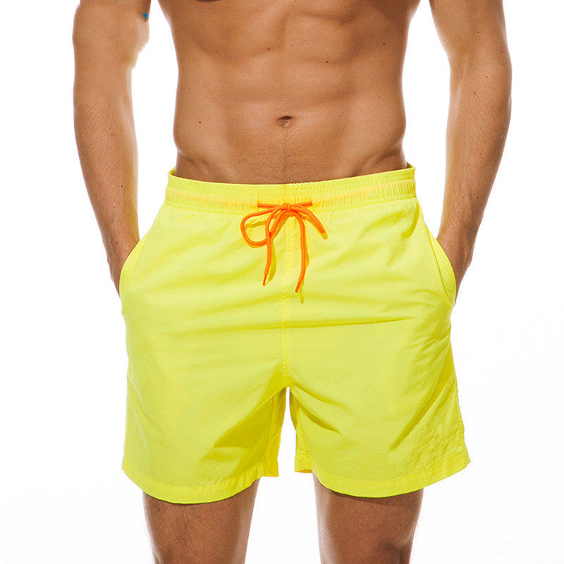 Yellow / 4XL