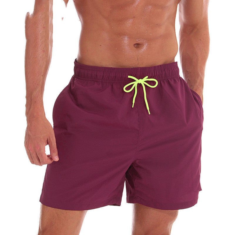 Wine / 4XL
