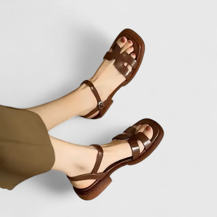 Brown / UK 7